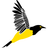 5R