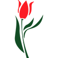BUR