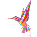 BWA