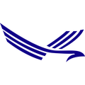 CVE