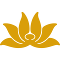 HVN