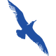 KAP