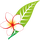 LAO