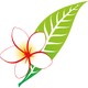 LAO