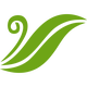 MWG