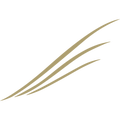 NCB