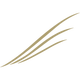 NCB