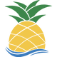 PNP