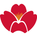 QDA