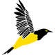 RUC