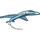 T7