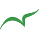 VNE