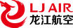 LTU International Logo