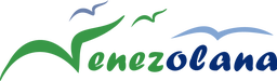 VNE